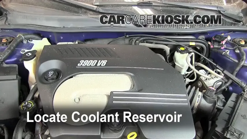 2006 Chevrolet Monte Carlo LT 3.9L V6 Refrigerante (anticongelante) Cambiar refrigerante